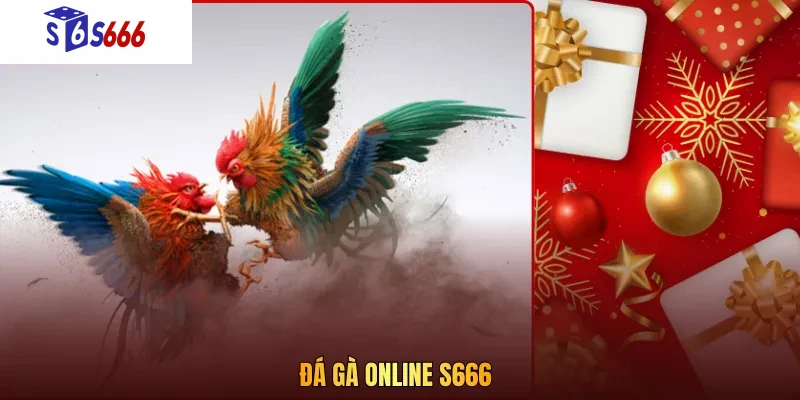 Đá gà online S666