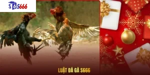 Luật đá gà S666