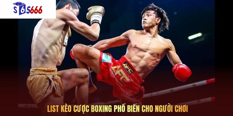List kèo cược boxing phổ biến cho người chơi