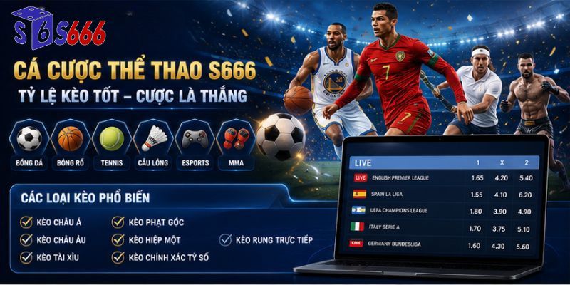Sảnh thể thao S666 với kèo cược đa dạng